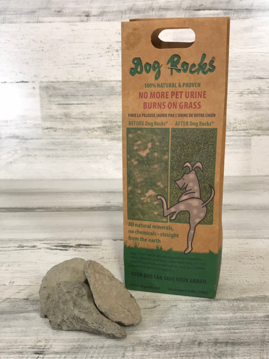 Dog rocks 200g best sale